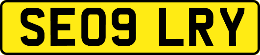 SE09LRY