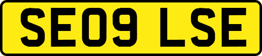 SE09LSE