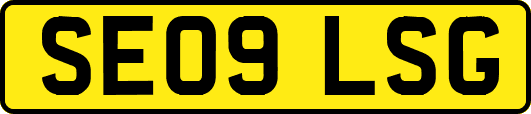 SE09LSG