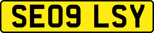 SE09LSY