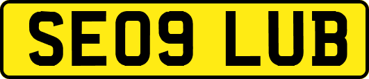 SE09LUB