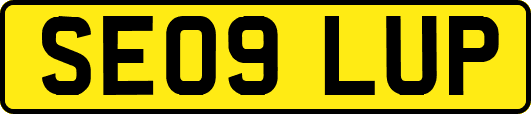 SE09LUP