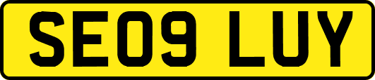 SE09LUY