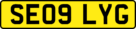 SE09LYG