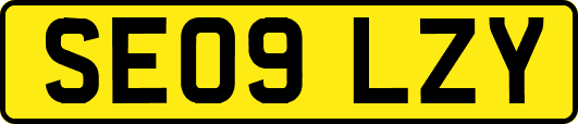 SE09LZY