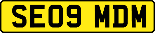 SE09MDM