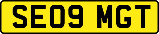 SE09MGT