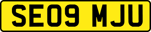 SE09MJU