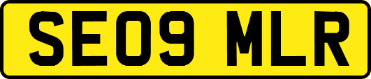 SE09MLR
