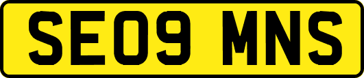 SE09MNS