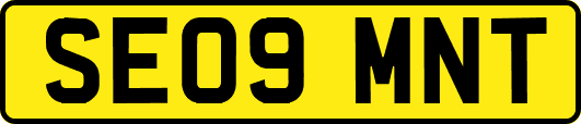 SE09MNT