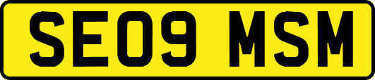 SE09MSM