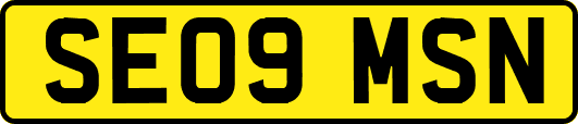 SE09MSN