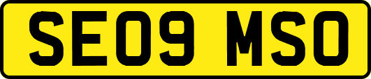 SE09MSO