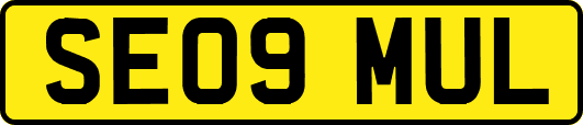 SE09MUL