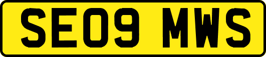 SE09MWS