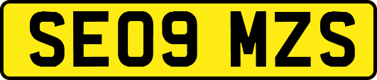 SE09MZS
