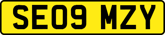 SE09MZY