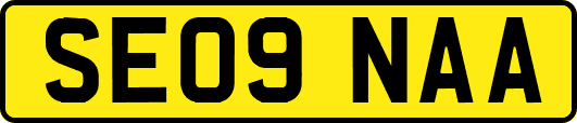 SE09NAA