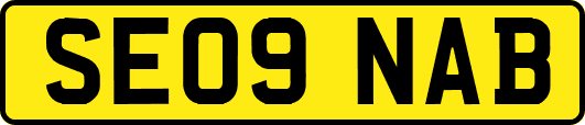 SE09NAB