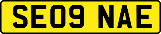 SE09NAE