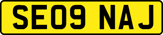 SE09NAJ