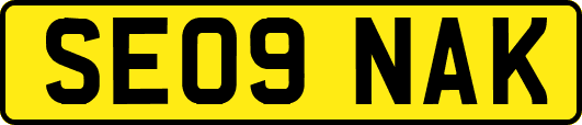 SE09NAK