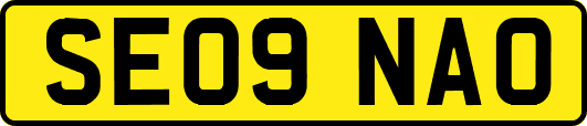 SE09NAO