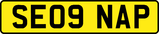 SE09NAP