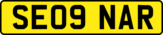 SE09NAR