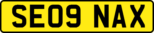 SE09NAX