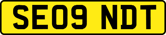 SE09NDT