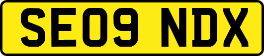 SE09NDX