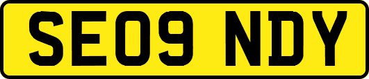 SE09NDY