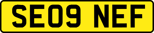 SE09NEF