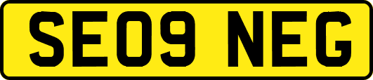 SE09NEG