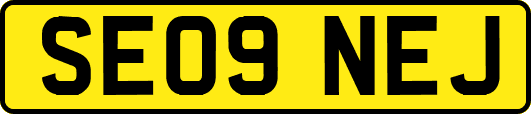 SE09NEJ