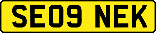 SE09NEK