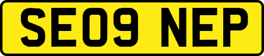 SE09NEP