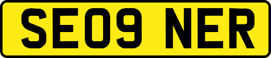 SE09NER