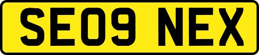 SE09NEX