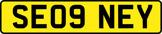 SE09NEY