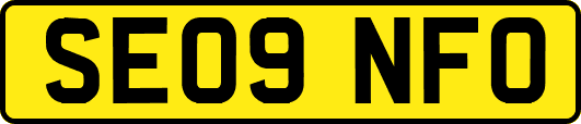 SE09NFO