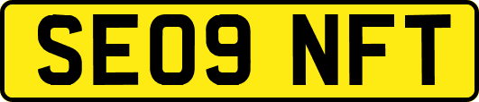 SE09NFT
