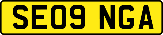 SE09NGA