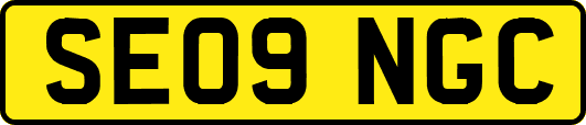 SE09NGC