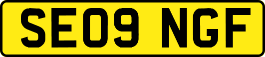 SE09NGF
