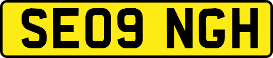 SE09NGH