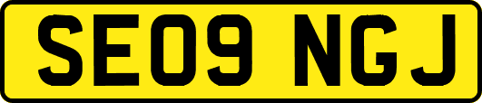 SE09NGJ