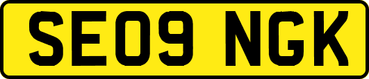 SE09NGK